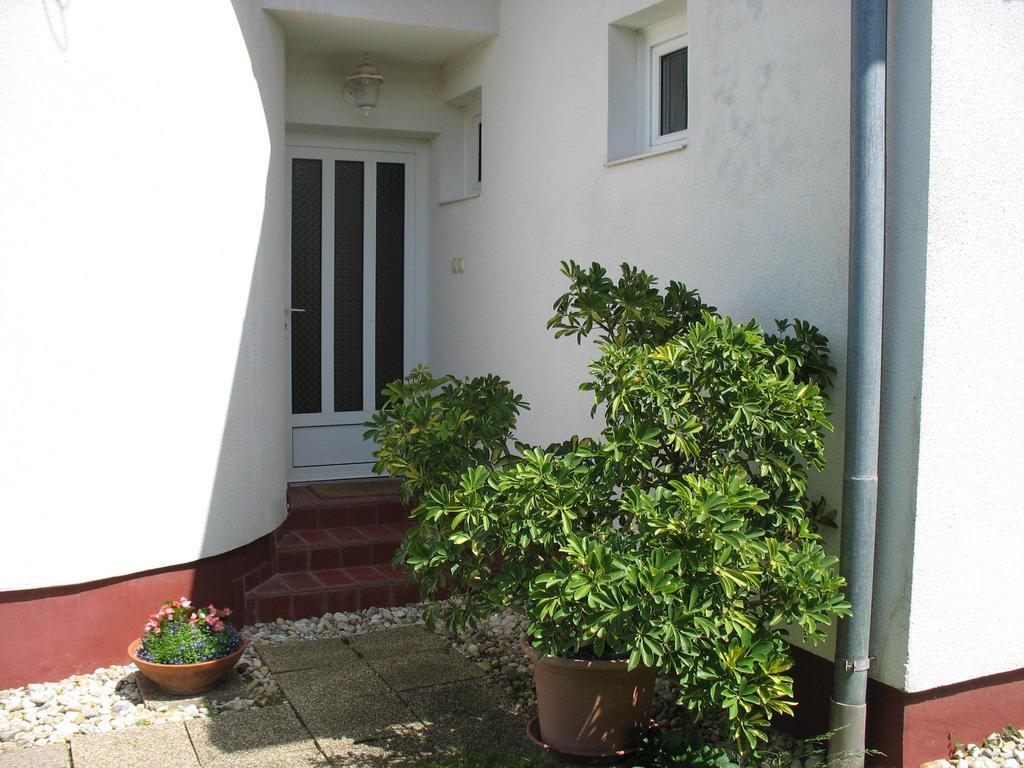 Doina Apartman 잘라카로쉬 외부 사진
