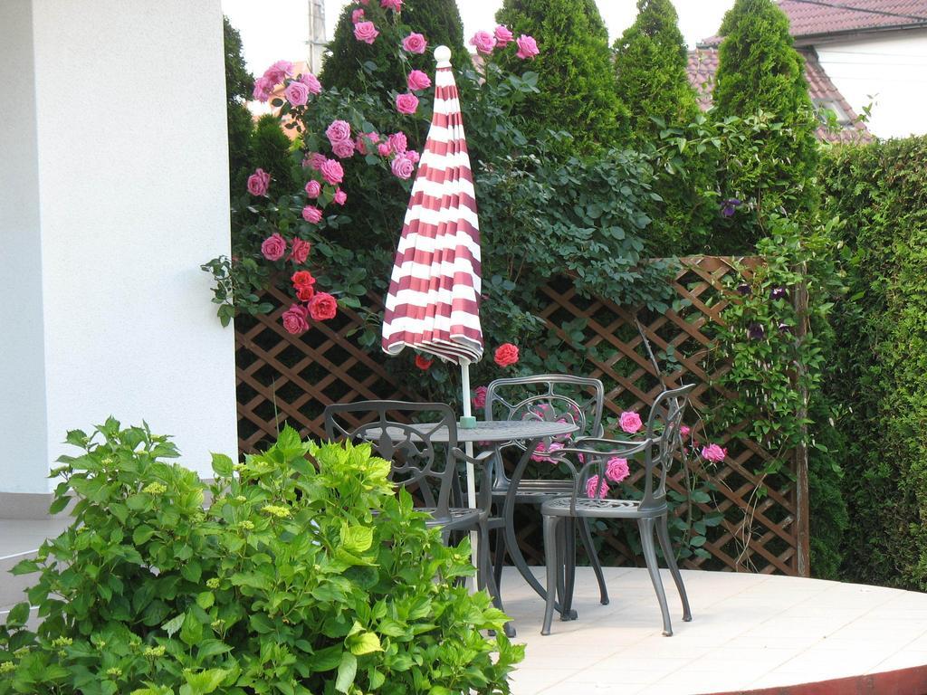 Doina Apartman 잘라카로쉬 객실 사진